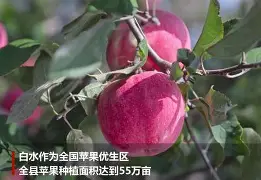 包含梅斯豪取全胜，喜获丰收与宝贵三分的词条