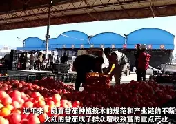 包含梅斯豪取全胜，喜获丰收与宝贵三分的词条